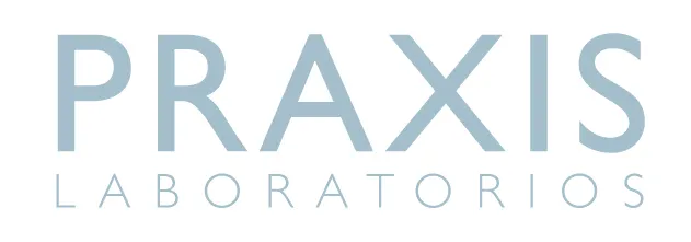 Praxis logo